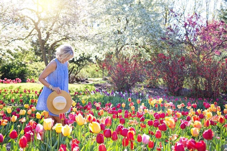Conseils pour un jardin luxuriant toute l’année