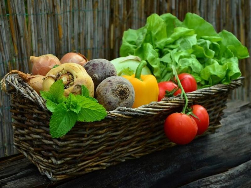 Apprenez comment réussir une poêlée de shitakés et courgettes